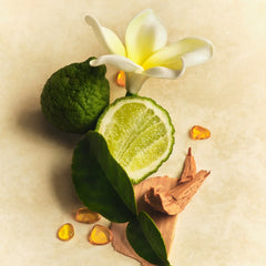 Scent Layering Trio N1
